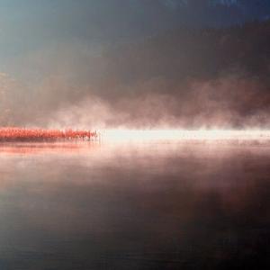 CALL OF SILENCE（钢琴版）