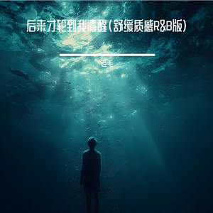 后来才轮到我清醒(舒缓质感R&B版)
