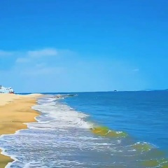 守望红尘守望你