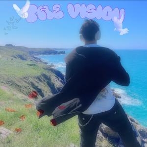 The vision (feat. hartfxlt)