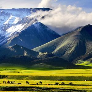 一见钟情（Cover：使者）