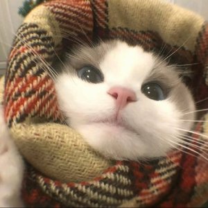 绝对占有 相对自由