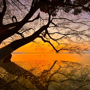 困在雨天的人 也会遇见喜欢的伞