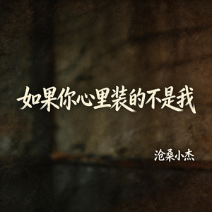 如果你心里装的不是我