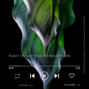 Japanese Sea Waves Sounds, Pt. 71