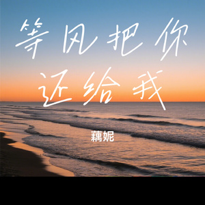 等风把你还给我