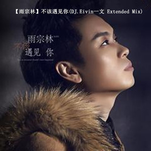 不该遇见你(雨宗林)(DJ版)