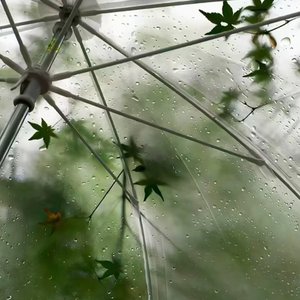 踏雨.