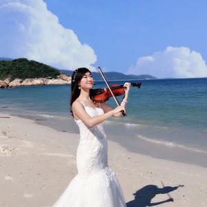 诗和远方 (钢琴小提琴曲)