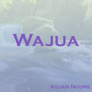 Wajua