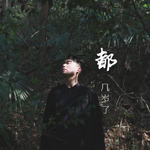 都几岁了（男声版）（翻自 陈嘉桦）