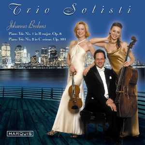 Piano Trio No. 1 In B Major, Op. 8 - Allegro Con Brio