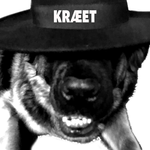 Nål