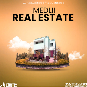 Real Estate