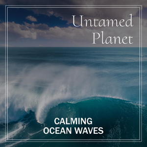 Calming Waves Lapping Against My Feet