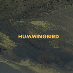 Hummingbird