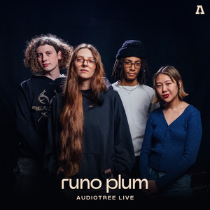 Elephant (Audiotree Live Version)