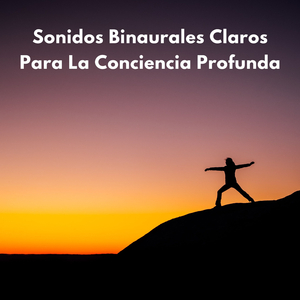 Vibraciones Completas