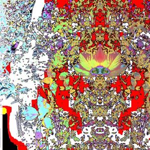 《°●o°.°.●°••》•