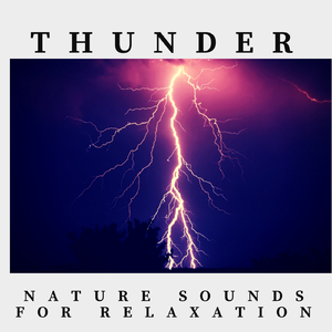 Thunder & Rain Nature Sounds