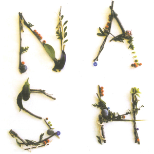 うさぎとアタシ