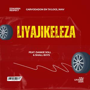 LIYAJIKELEZA (feat. CARVODADON, Ta'Logs_wav, Dankie Soll & Small Boys)