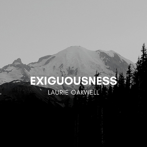 Exiguousness