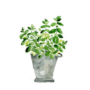 你太猖狂（Cover 田馥甄）