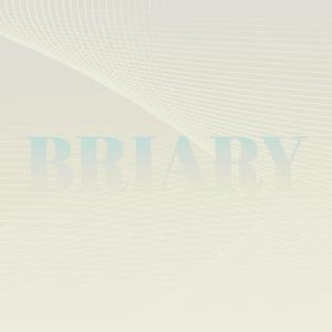 Gluconeogenesis Minny