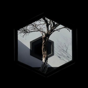 《我给你所有偏爱时光》