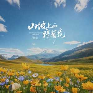 山坡上的野菊花 (DJ阿尼版伴奏)