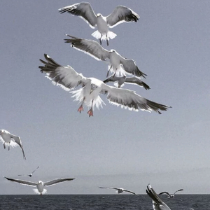 Дай мне руку.