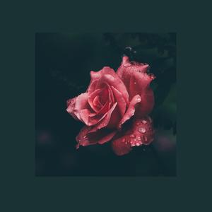 Oblivion (feat. Lily Potter)