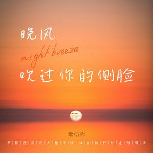 晚风吹过你的侧脸