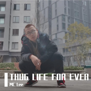 Tupac-Ambitionz Az A Ridah（MC Lee remix）