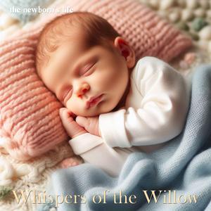 Whispers of Willow