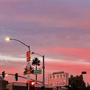 [Free]"Rose"chill boombap type beat