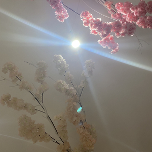 乡村清晨的温馨