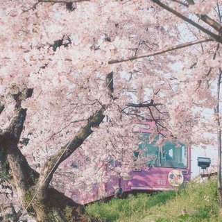 「纯音」日系纯音 写作业用