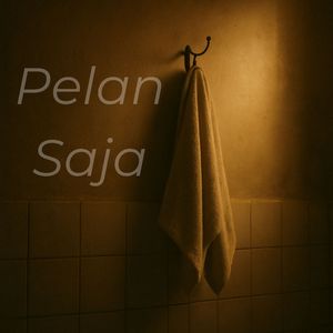 Pelan Saja