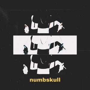 Numbskull