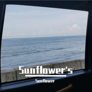 海浪的倾诉 The Melody of the Waves