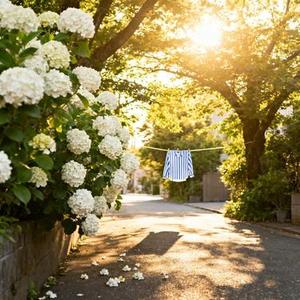 那年初夏 (Cover 任然)