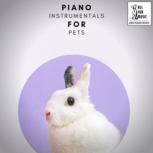 Home Pet Piano