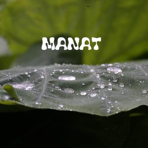 Manat