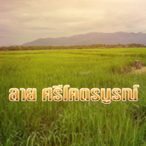 ลาย ศรีโคตรบูรณ์