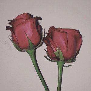 我的爱如潮 它静悄悄