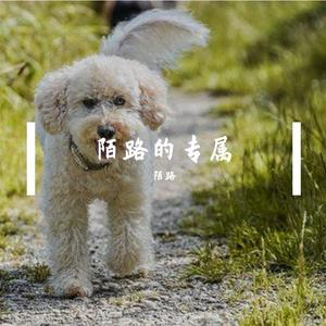 陌路- 三叶的主题(三葉のテーマ)