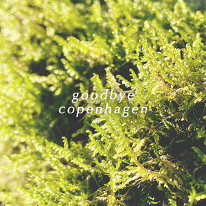 Goodbye Copenhagen