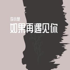 如果再遇见你